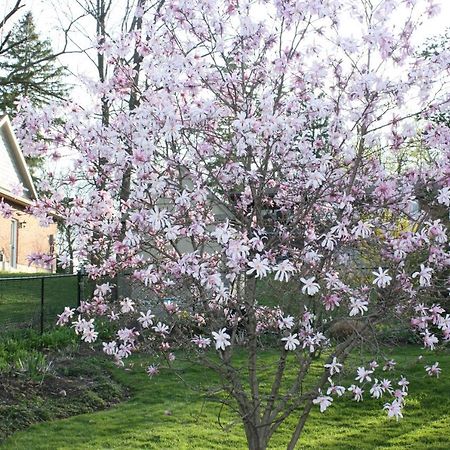 Carrousel Bed & Breakfast Cayuga Buitenkant foto
