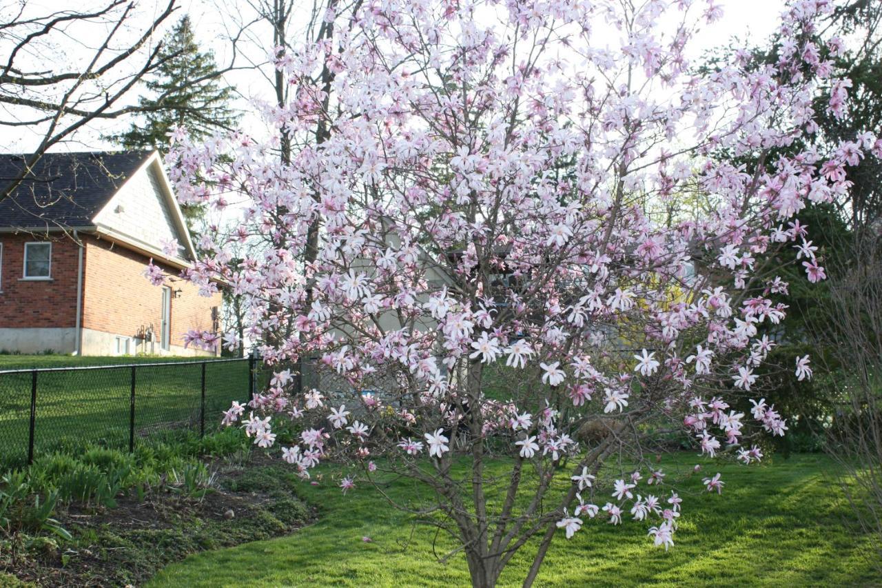 Carrousel Bed & Breakfast Cayuga Buitenkant foto
